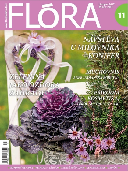E-magazín Flóra 11-2017 - Časopisy pro volný čas s. r. o.