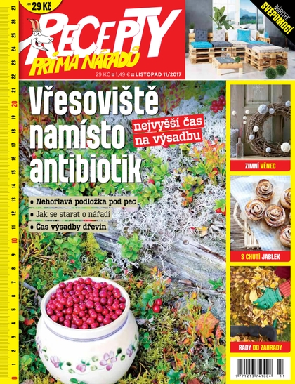 E-magazín Recepty prima nápadů 11/2017 - Jaga Media, s. r. o.