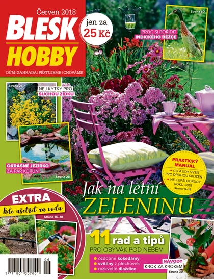 E-magazín Blesk Hobby - 06/2018 - CZECH NEWS CENTER a. s.