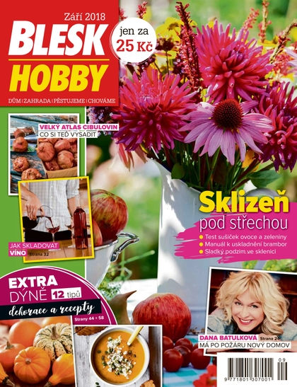 E-magazín Blesk Hobby - 09/2018 - CZECH NEWS CENTER a. s.
