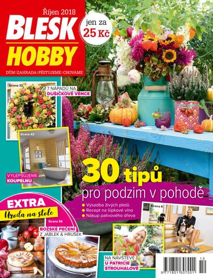 E-magazín Blesk Hobby - 10/2018 - CZECH NEWS CENTER a. s.