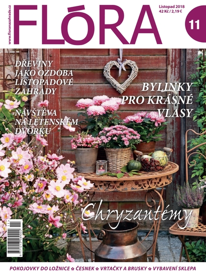 E-magazín Flora 11-2018 - Časopisy pro volný čas s. r. o.