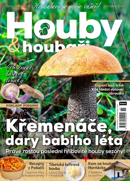 E-magazín Houby a houbaři 11/2018 - Extra Publishing, s. r. o.