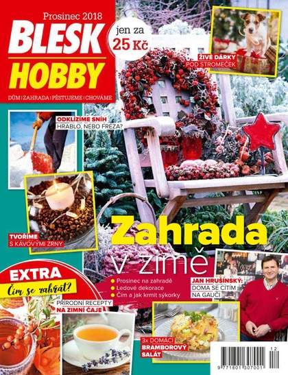 E-magazín Blesk Hobby - 12/2018 - CZECH NEWS CENTER a. s.