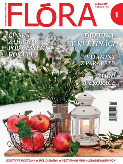 E-magazín Flora 1-2019 - Časopisy pro volný čas s. r. o.