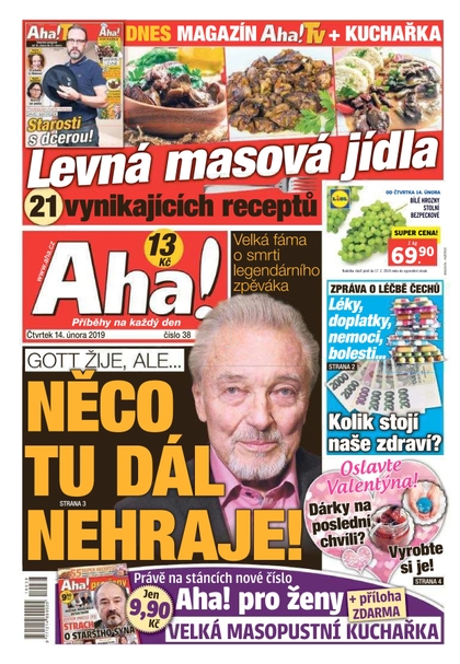 E-magazín AHA! - 14.2.2019 - CZECH NEWS CENTER a. s.