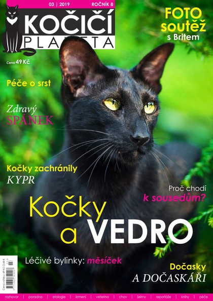E-magazín Kočičí planeta 3/2019 - Czech Press Group Koktejl