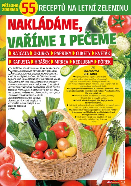 E-magazín Příloha AHA! pro ženy - 26/2019 - CZECH NEWS CENTER a. s.