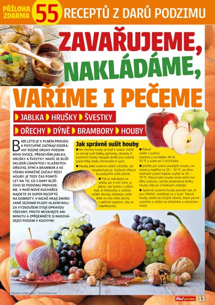 E-magazín Příloha AHA! pro ženy - 36/2019 - CZECH NEWS CENTER a. s.