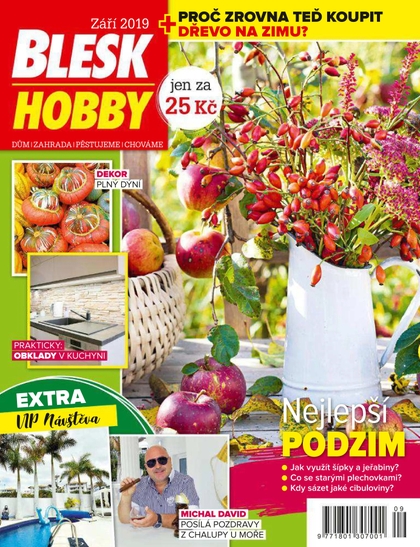 E-magazín Blesk Hobby - 09/2019 - CZECH NEWS CENTER a. s.