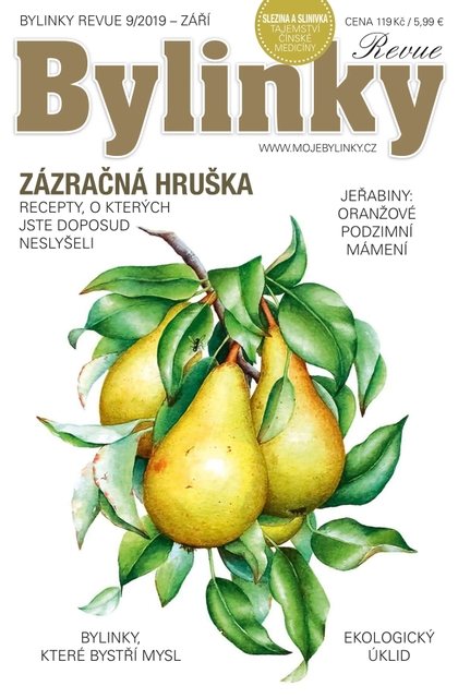 E-magazín Bylinky 9/19 - BYLINKY REVUE, s. r. o.