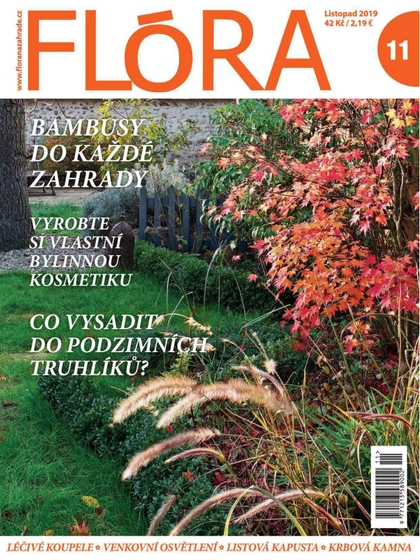 E-magazín Flora 11-2019 - Časopisy pro volný čas s. r. o.
