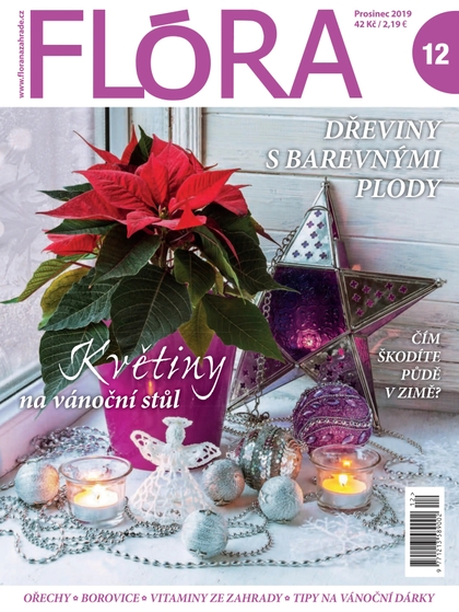 E-magazín Flora 12-2019 - Časopisy pro volný čas s. r. o.