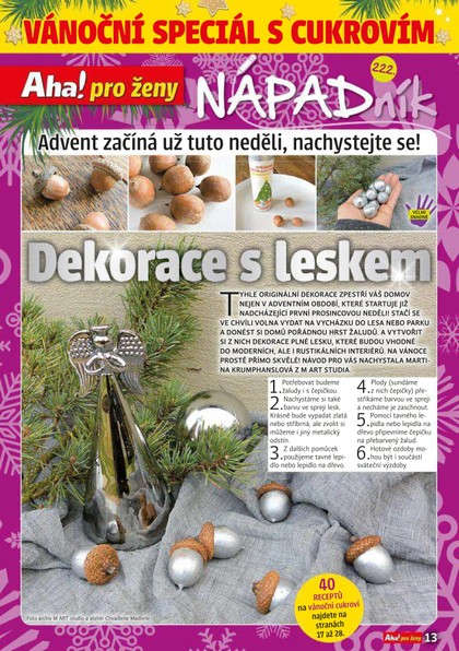 E-magazín Příloha AHA! pro ženy - 48/2019 - CZECH NEWS CENTER a. s.