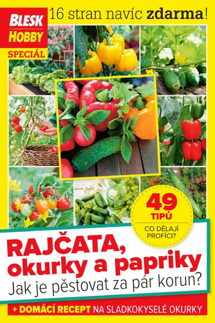 E-magazín Příloha Blesk Hobby - 04/2020 - CZECH NEWS CENTER a. s.