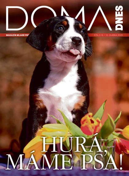 E-magazín DOMA DNES - 22.4.2020 - MAFRA, a.s.