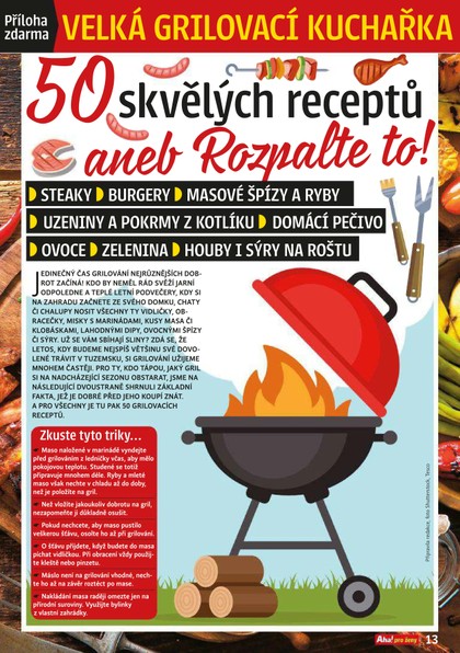 E-magazín Příloha AHA! pro ženy - 20/2020 - CZECH NEWS CENTER a. s.