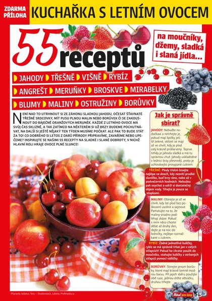 E-magazín Příloha AHA! pro ženy - 23/2020 - CZECH NEWS CENTER a. s.