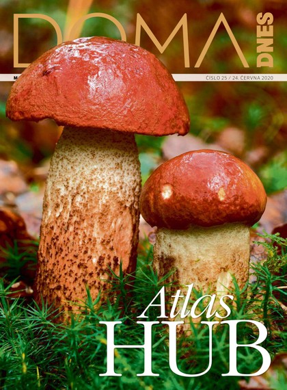 E-magazín DOMA DNES - 24.6.2020 - MAFRA, a.s.