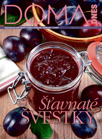 E-magazín DOMA DNES - 29.7.2020 - MAFRA, a.s.