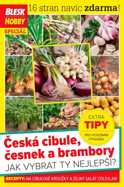 E-magazín Příloha Blesk Hobby - 09/2020 - CZECH NEWS CENTER a. s.