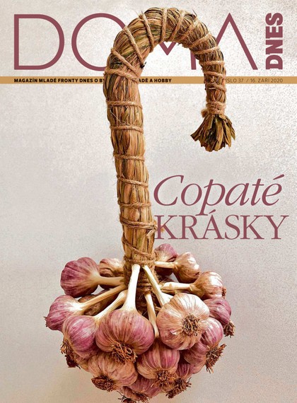 E-magazín DOMA DNES - 16.9.2020 - MAFRA, a.s.