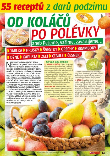 E-magazín Příloha AHA! pro ženy - 39/2020 - CZECH NEWS CENTER a. s.