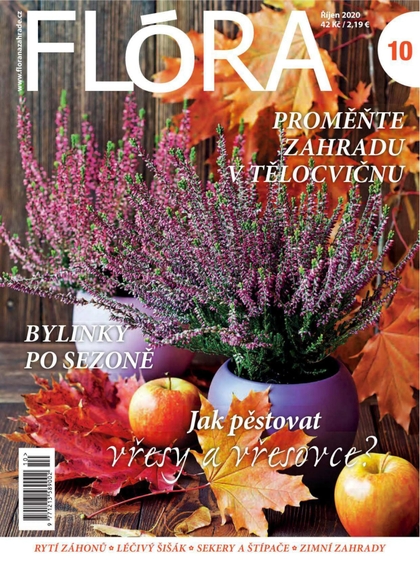 E-magazín Flora 10-2020 - Časopisy pro volný čas s. r. o.