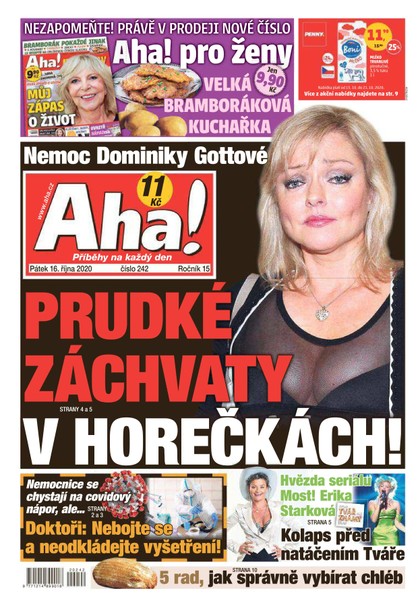 E-magazín AHA! - 16.10.2020 - CZECH NEWS CENTER a. s.
