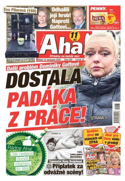 E-magazín AHA! - 13.11.2020 - CZECH NEWS CENTER a. s.