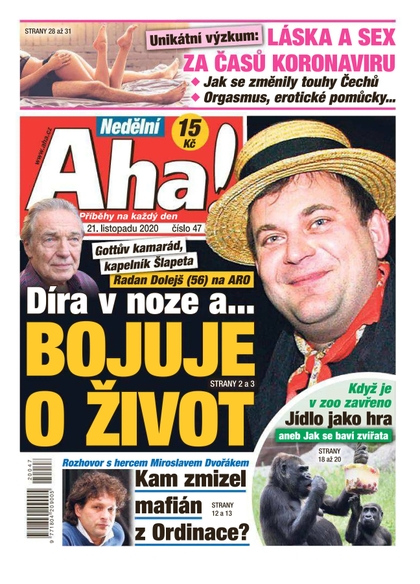 E-magazín Nedělní AHA! - 22.11.2020 - CZECH NEWS CENTER a. s.