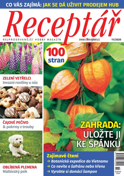 E-magazín Receptář 11/2020 - VLTAVA LABE MEDIA a.s.