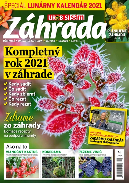 E-magazín Záhrada 2020 10 - JAGA GROUP, s.r.o. 