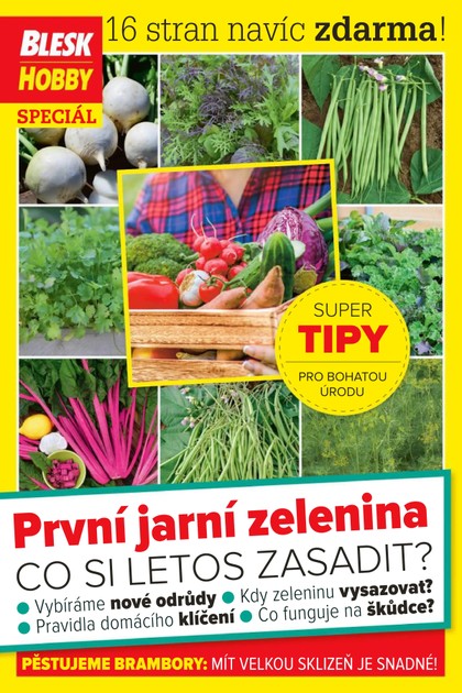 E-magazín Příloha Blesk Hobby - 02/2021 - CZECH NEWS CENTER a. s.