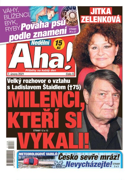 E-magazín Nedělní AHA! - 7.2.2021 - CZECH NEWS CENTER a. s.
