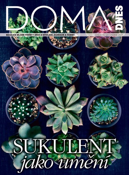 E-magazín DOMA DNES - 24.2.2021 - MAFRA, a.s.