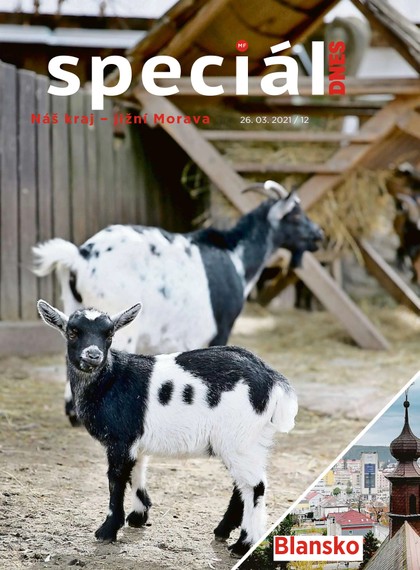 E-magazín Magazín DNES Speciál Brno a Jižní Morava - 26.3.2021 - MAFRA, a.s.