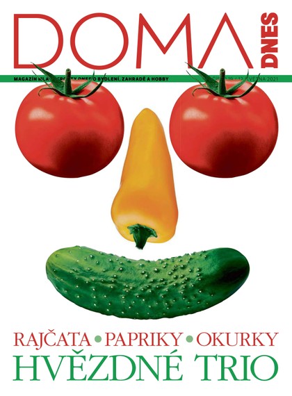 E-magazín DOMA DNES - 12.5.2021 - MAFRA, a.s.