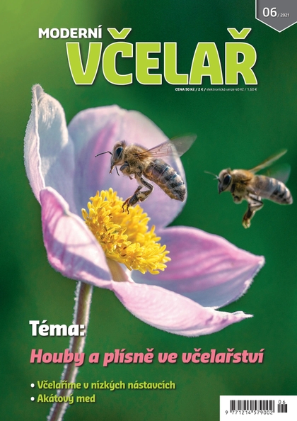 E-magazín Moderní včelař 06/2021 - Moderní včelař