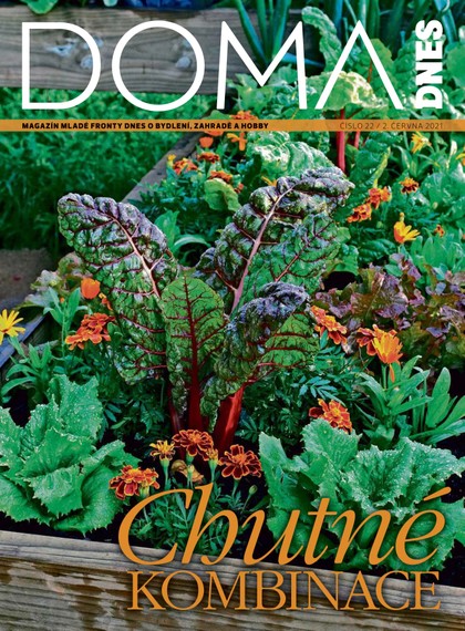 E-magazín DOMA DNES - 2.6.2021 - MAFRA, a.s.