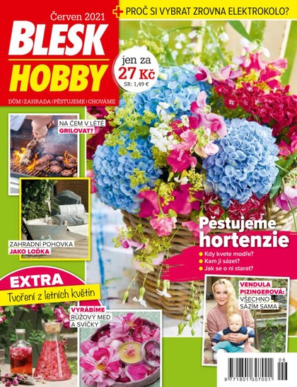 E-magazín Blesk Hobby - 06/2021 - CZECH NEWS CENTER a. s.