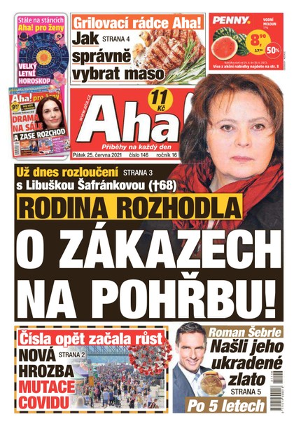 E-magazín AHA! - 25.6.2021 - CZECH NEWS CENTER a. s.