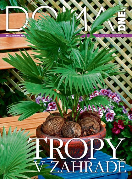E-magazín DOMA DNES - 4.8.2021 - MAFRA, a.s.