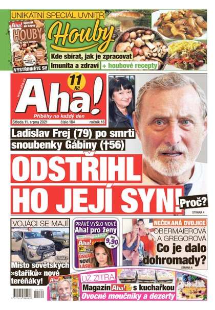 E-magazín AHA! - 11.8.2021 - CZECH NEWS CENTER a. s.