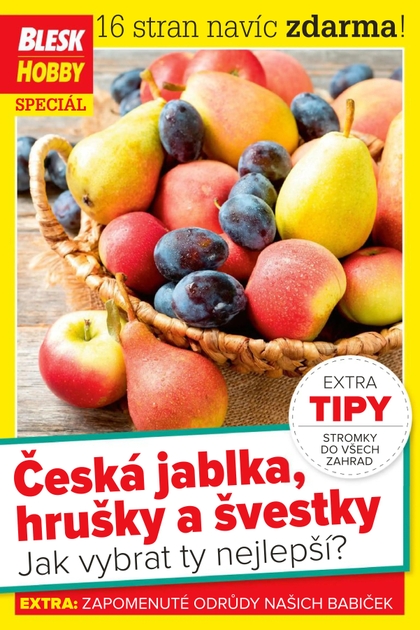 E-magazín Příloha Blesk Hobby - 1.9.2021 - CZECH NEWS CENTER a. s.