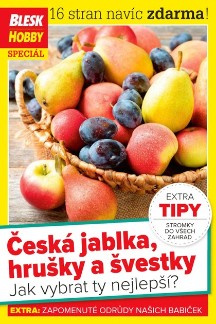 E-magazín Příloha Blesk Hobby - 1.9.2021 - CZECH NEWS CENTER a. s.