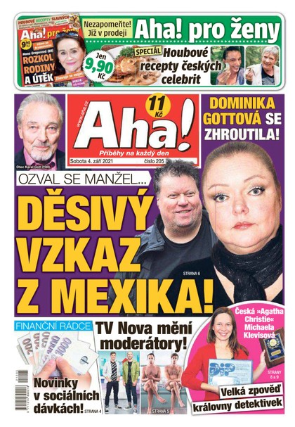 E-magazín AHA! - 4.9.2021 - CZECH NEWS CENTER a. s.