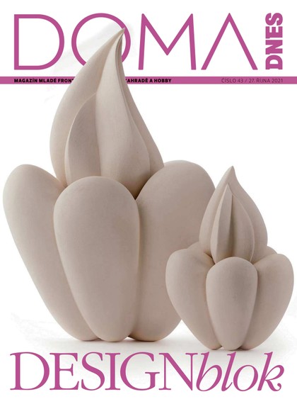 E-magazín DOMA DNES - 27.10.2021 - MAFRA, a.s.