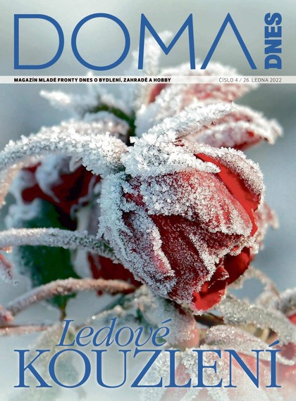 E-magazín DOMA DNES - 26.1.2022 - MAFRA, a.s.