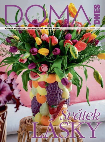 E-magazín DOMA DNES - 9.2.2022 - MAFRA, a.s.